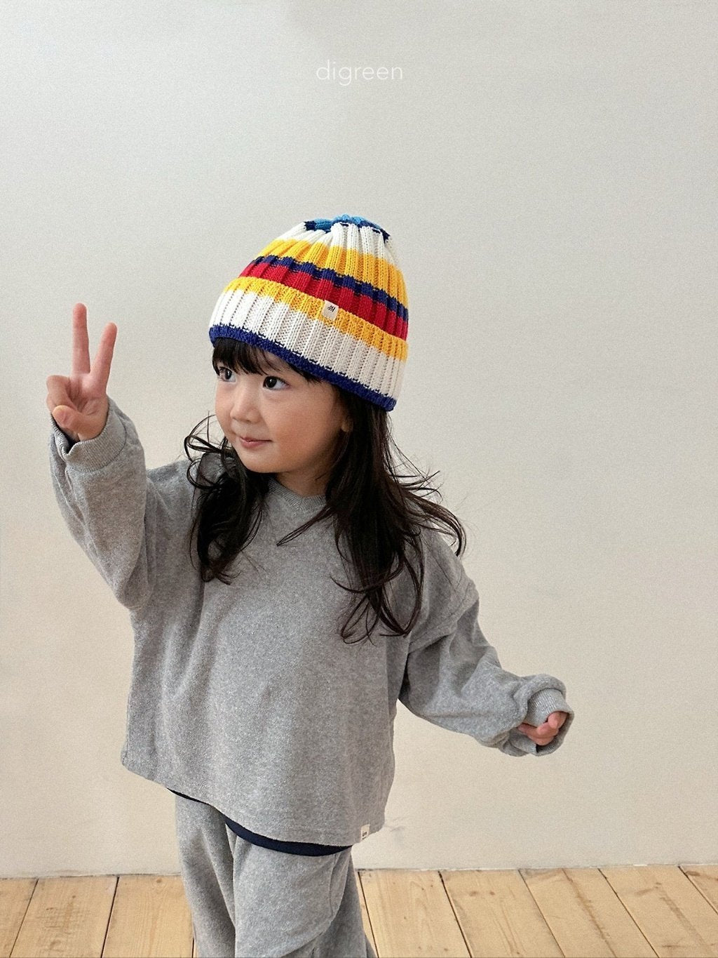 ［digreen］Multi beanie