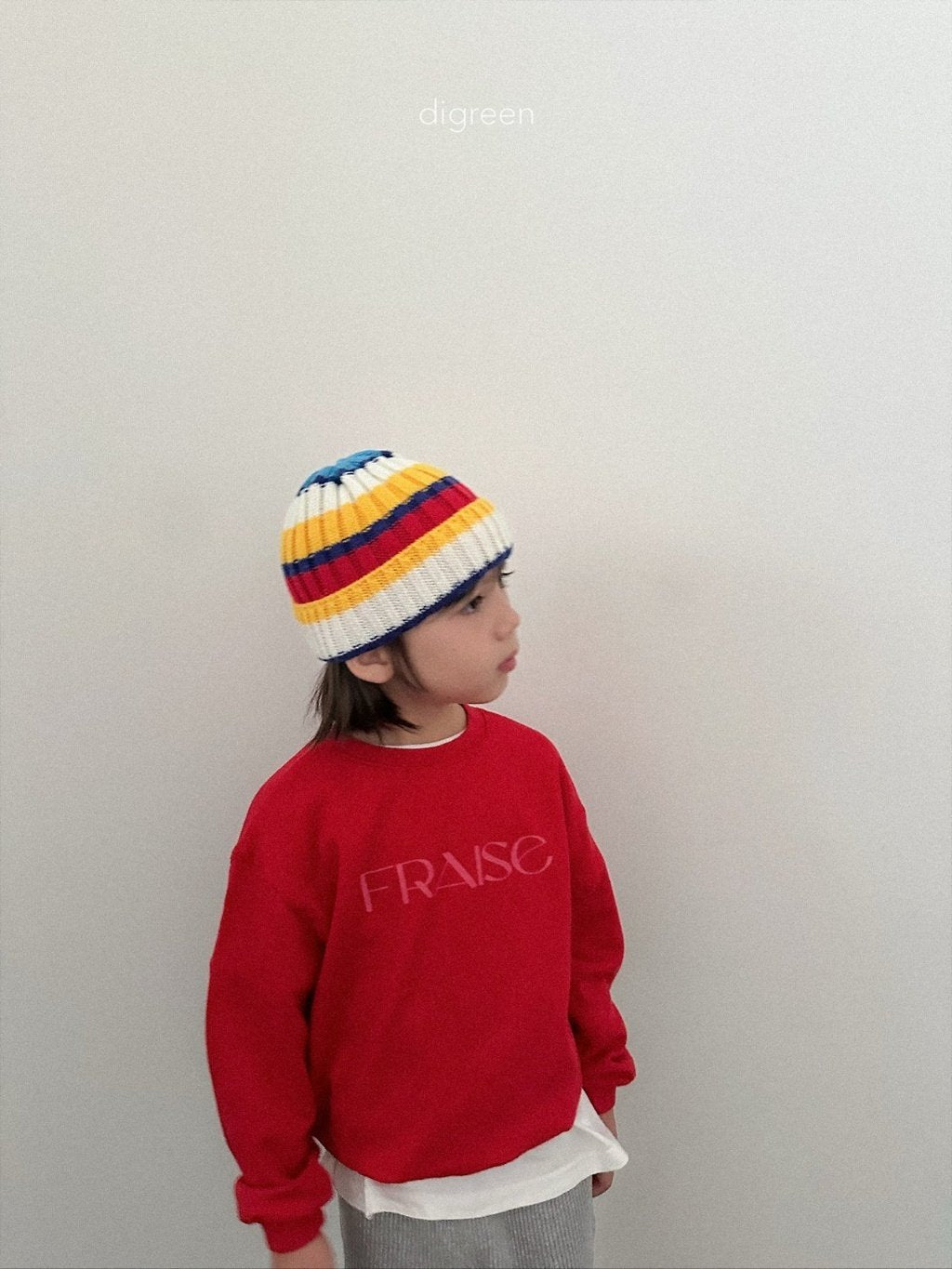 ［digreen］Multi beanie