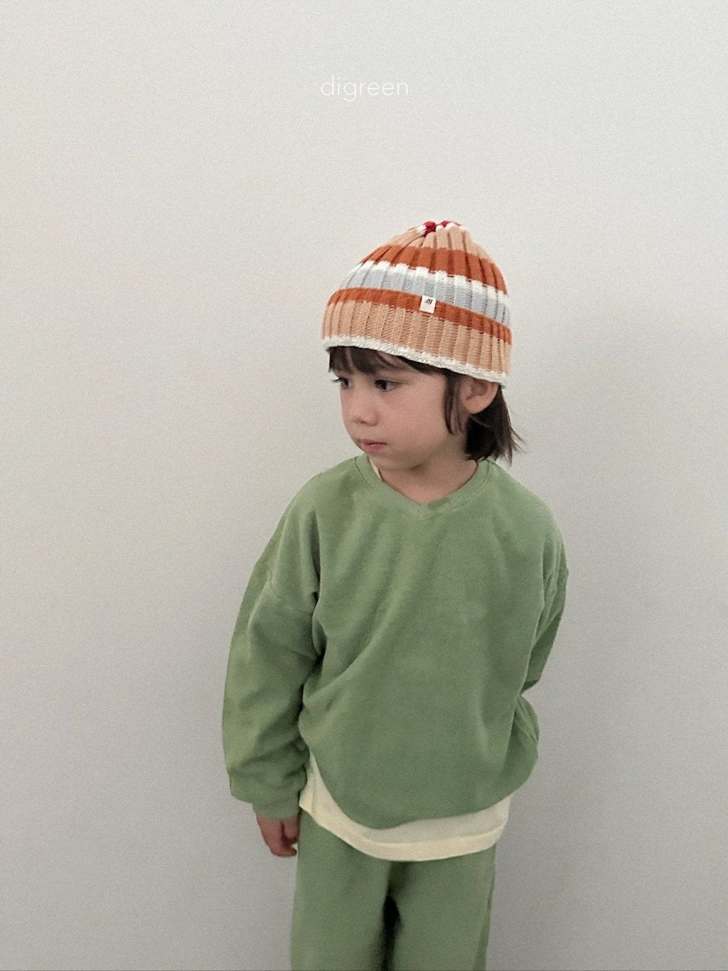 ［digreen］Multi beanie