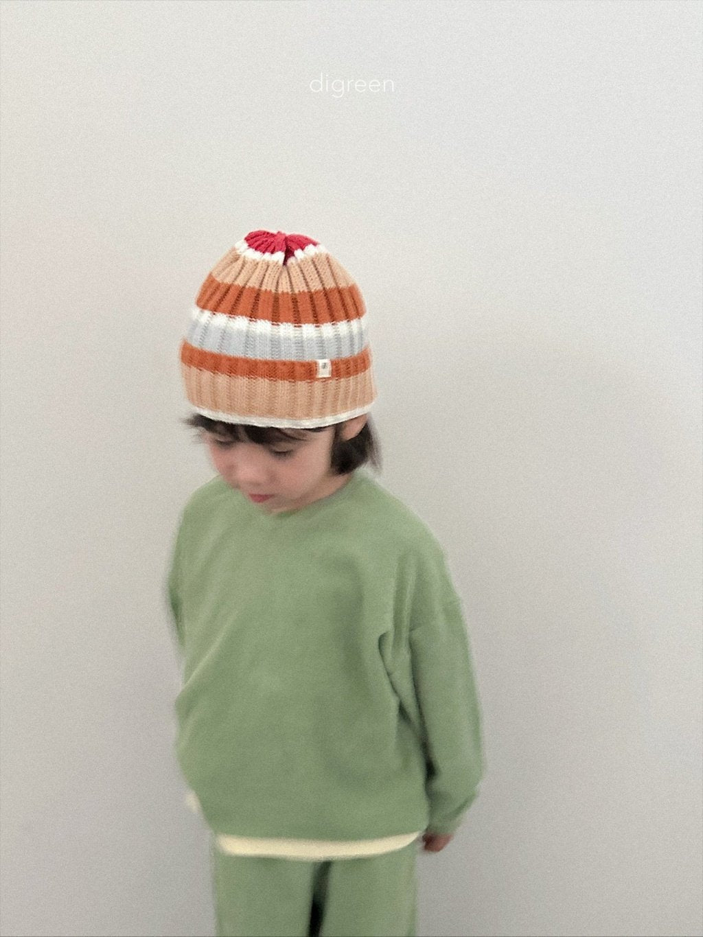 ［digreen］Multi beanie