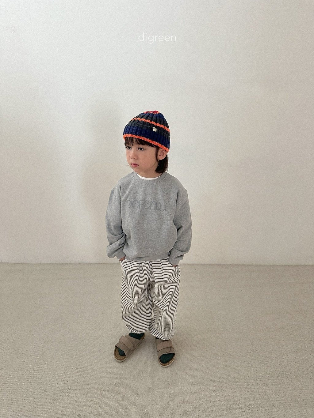 ［digreen］Multi beanie