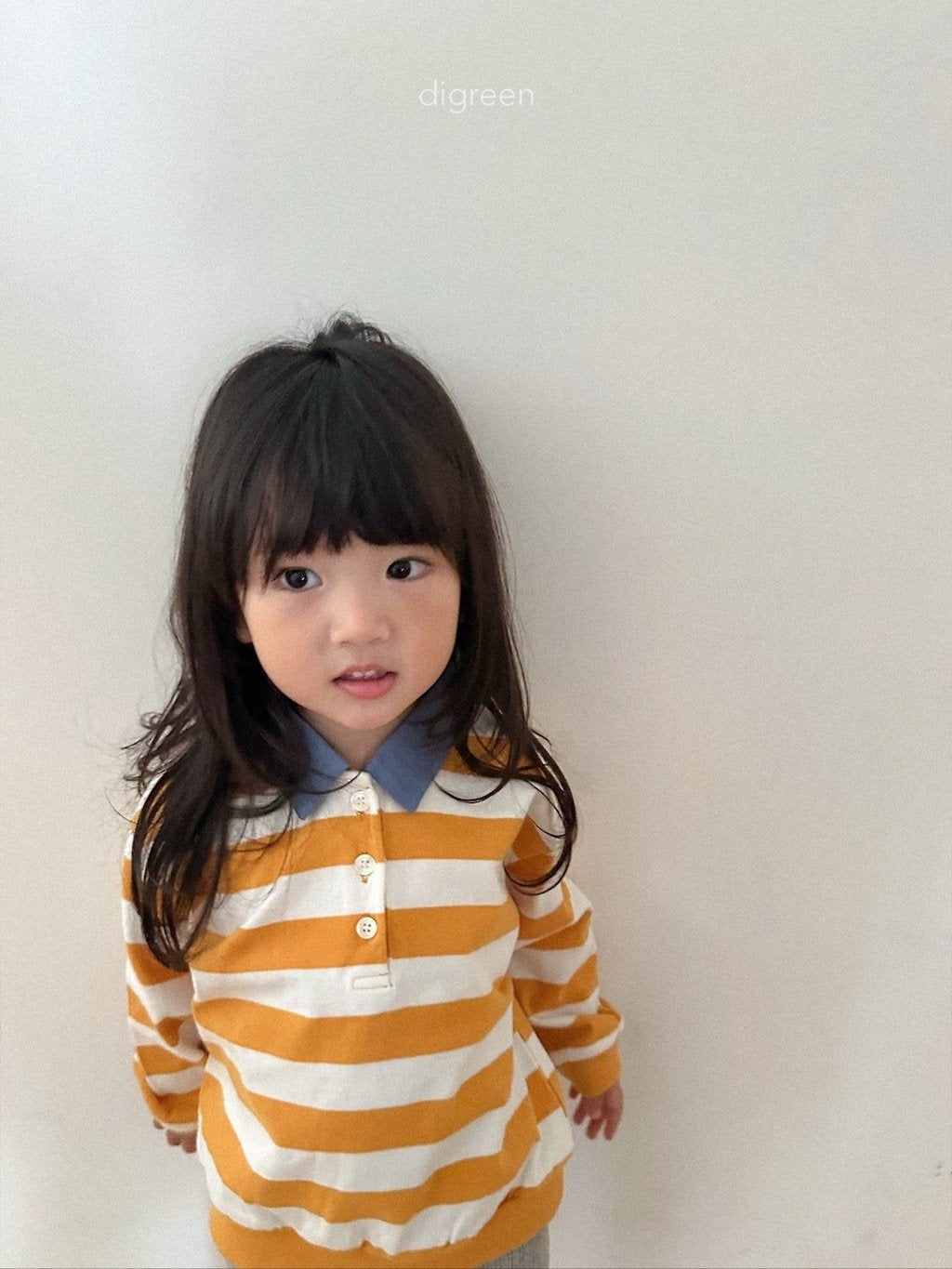 ［digreen］Striped collar mtm