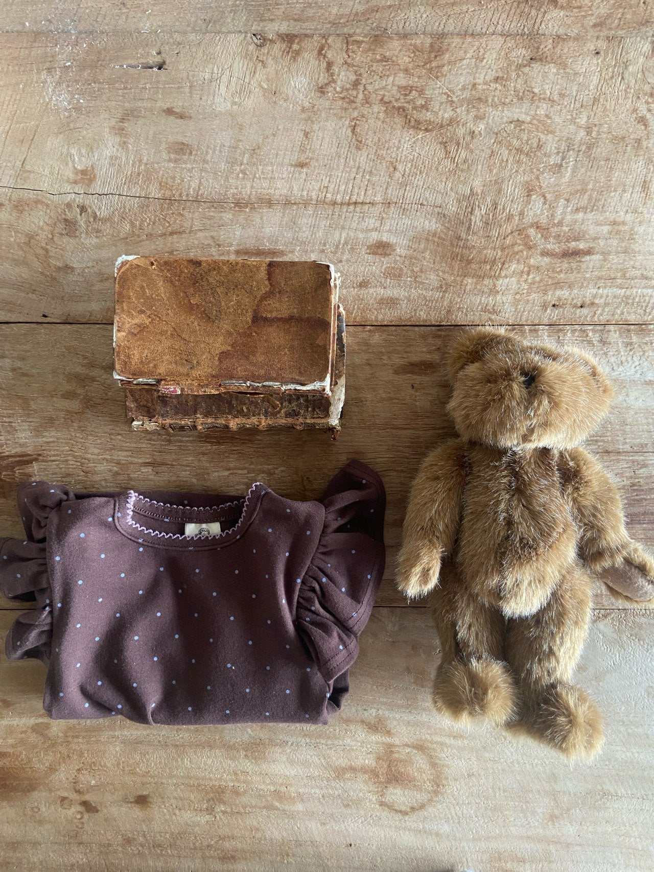 ［Anne shirley］Roan wing tops (dot)