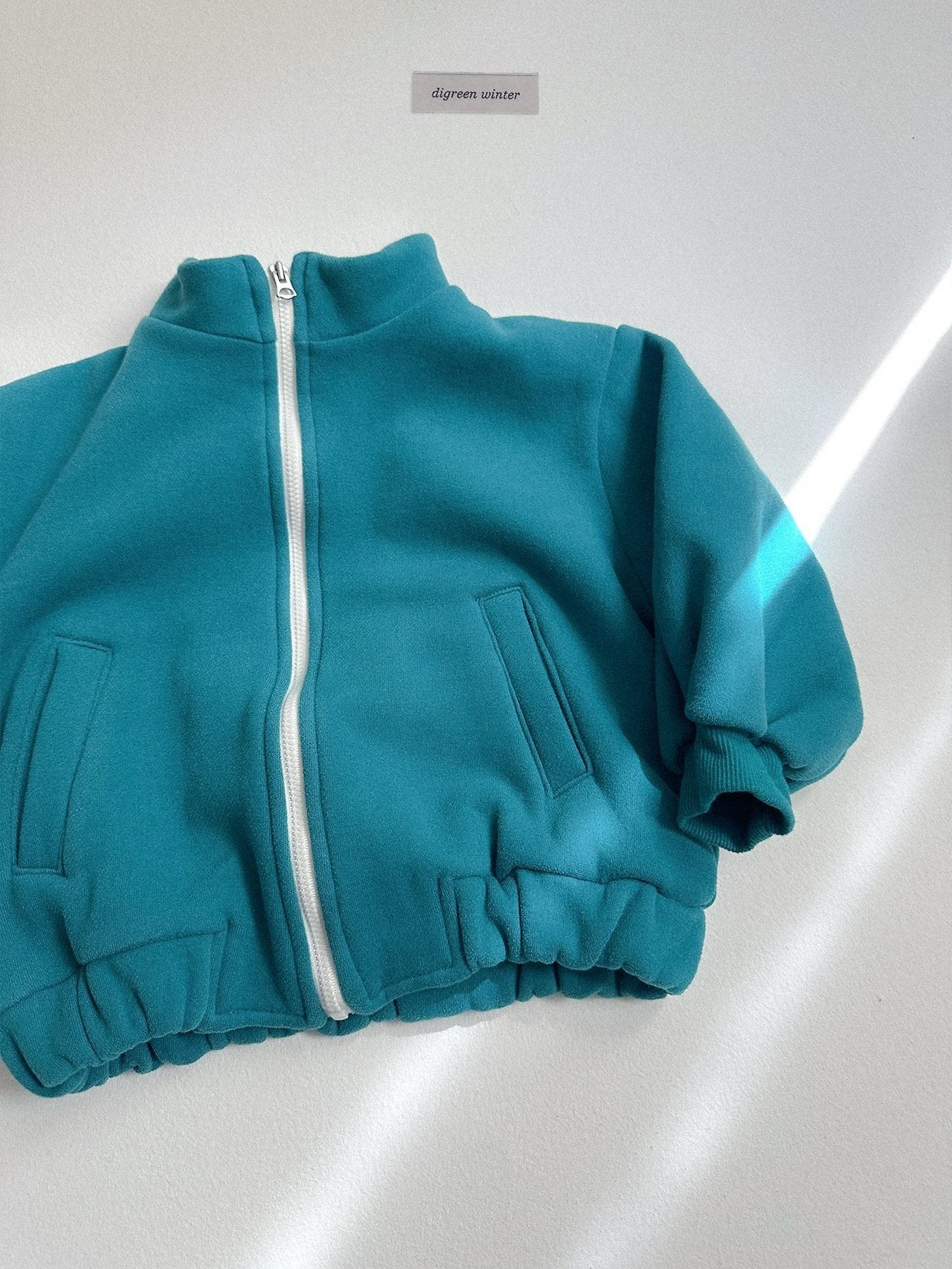 [digreen] Camel Zipup Jumper