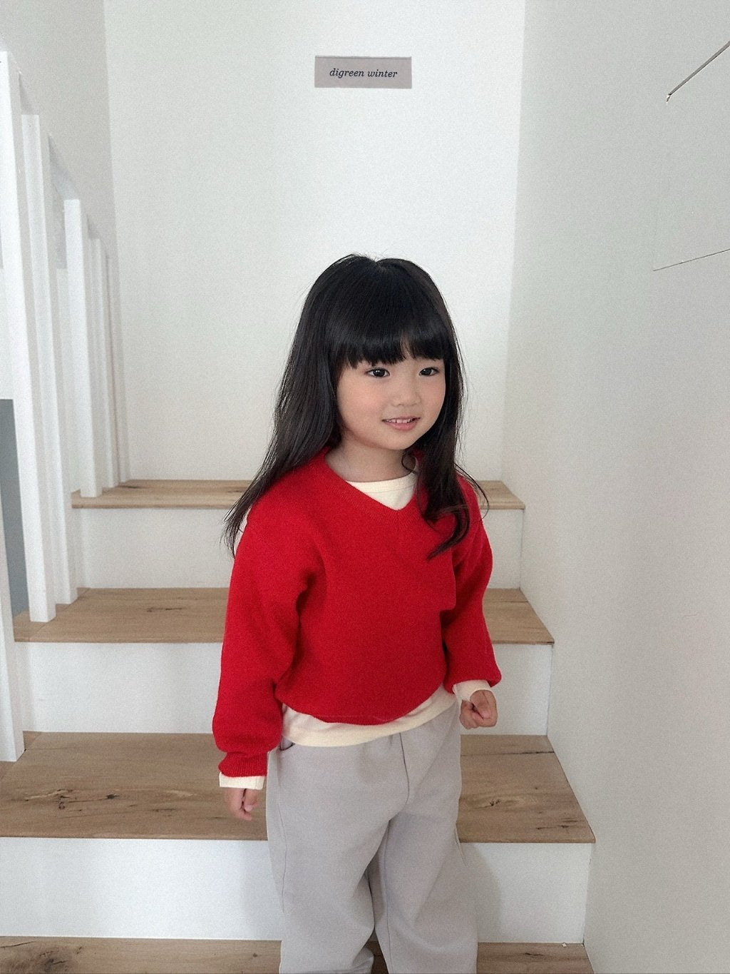 [digreen] Cozy Vneck Knit
