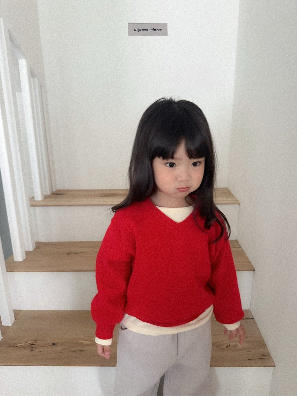 [digreen] Cozy Vneck Knit