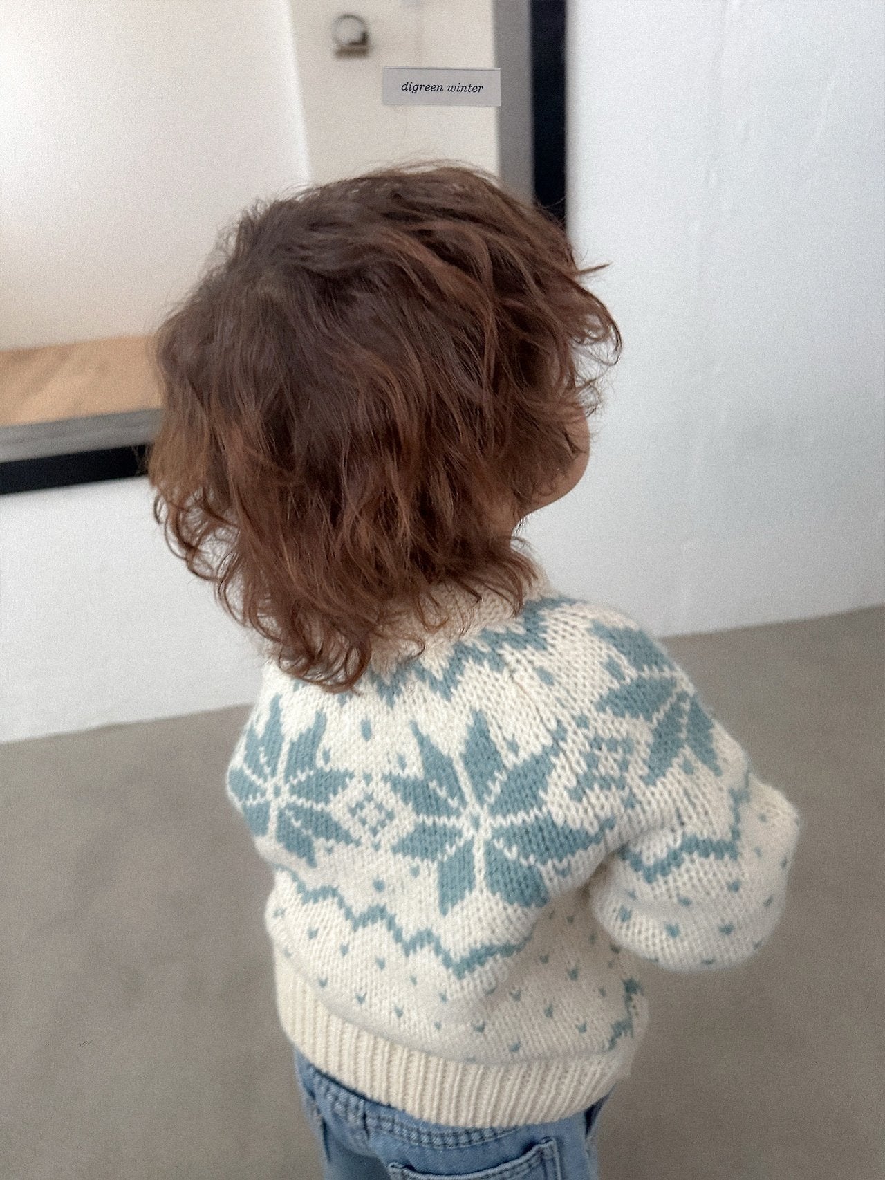 [digreen] Snowflake Knit Pullover