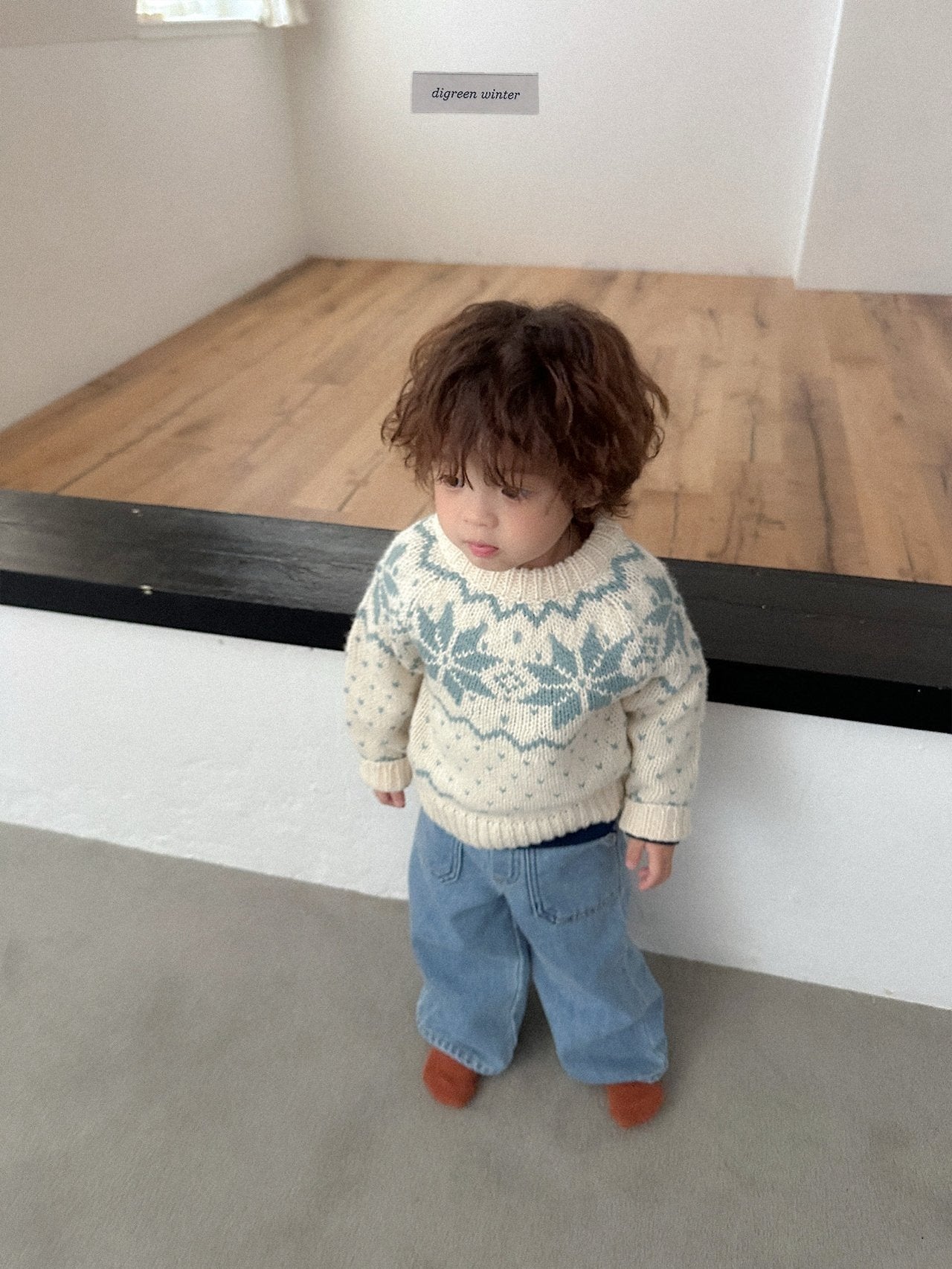 [digreen] Snowflake Knit Pullover