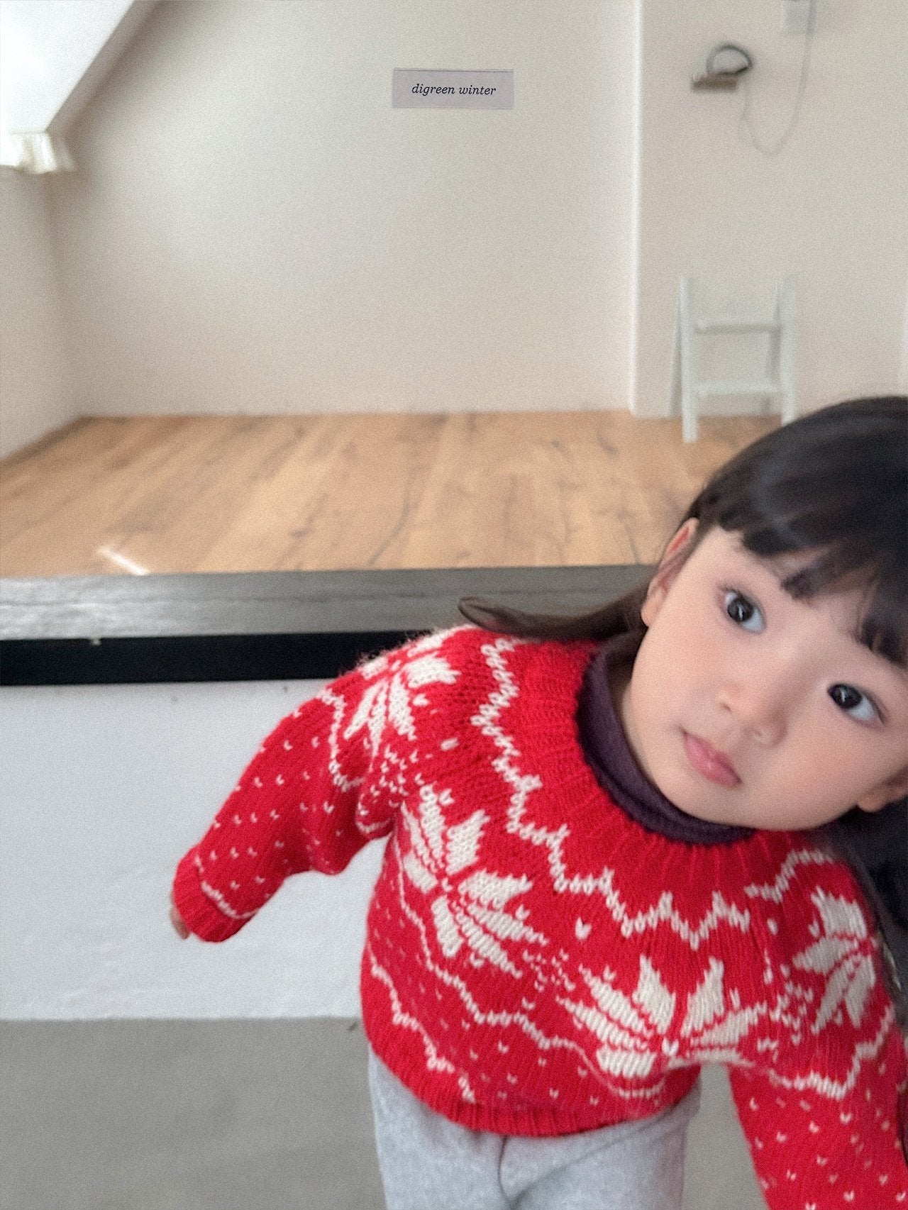 [digreen] Snowflake Knit Pullover