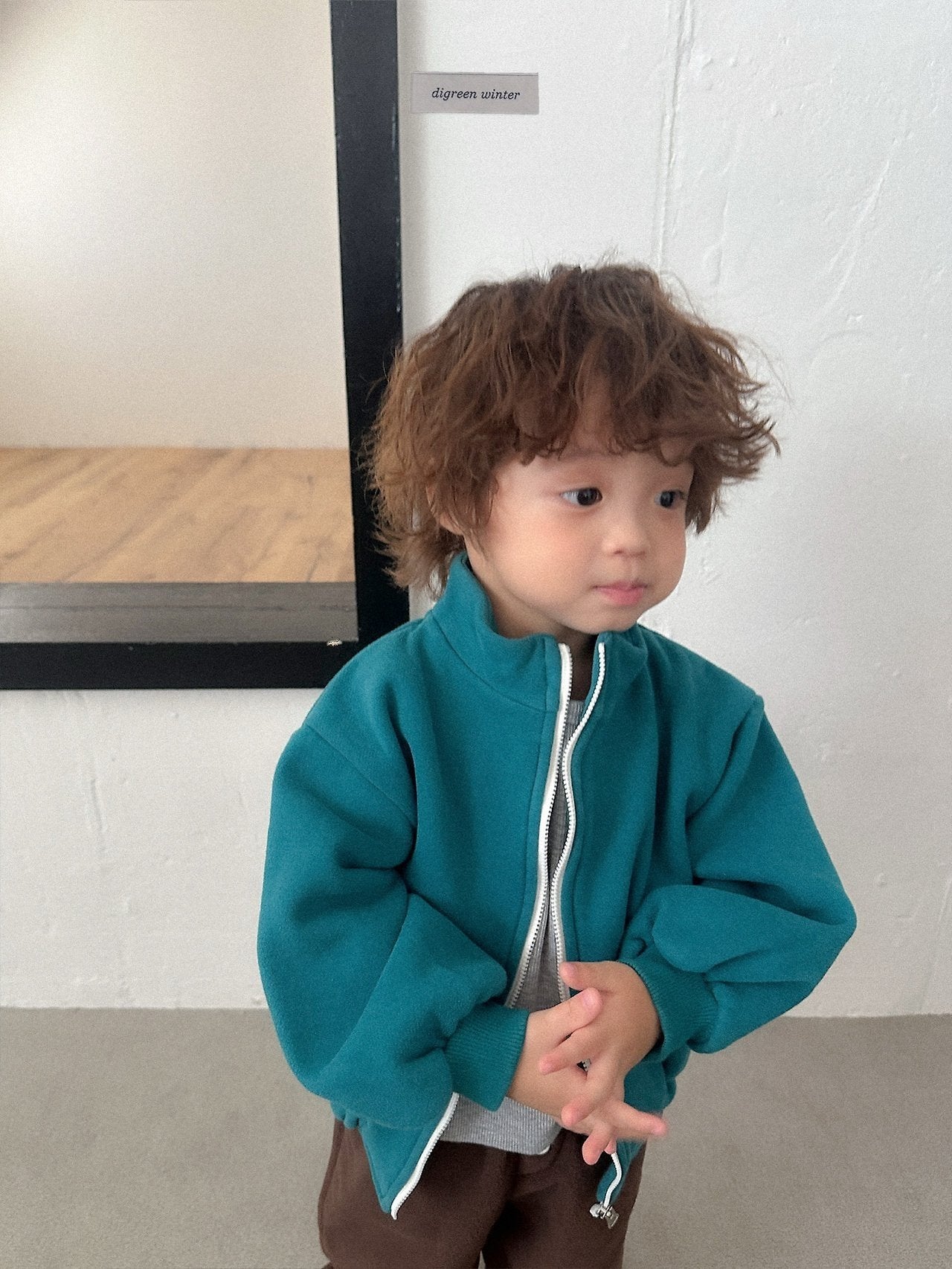 [digreen] Camel Zipup Jumper