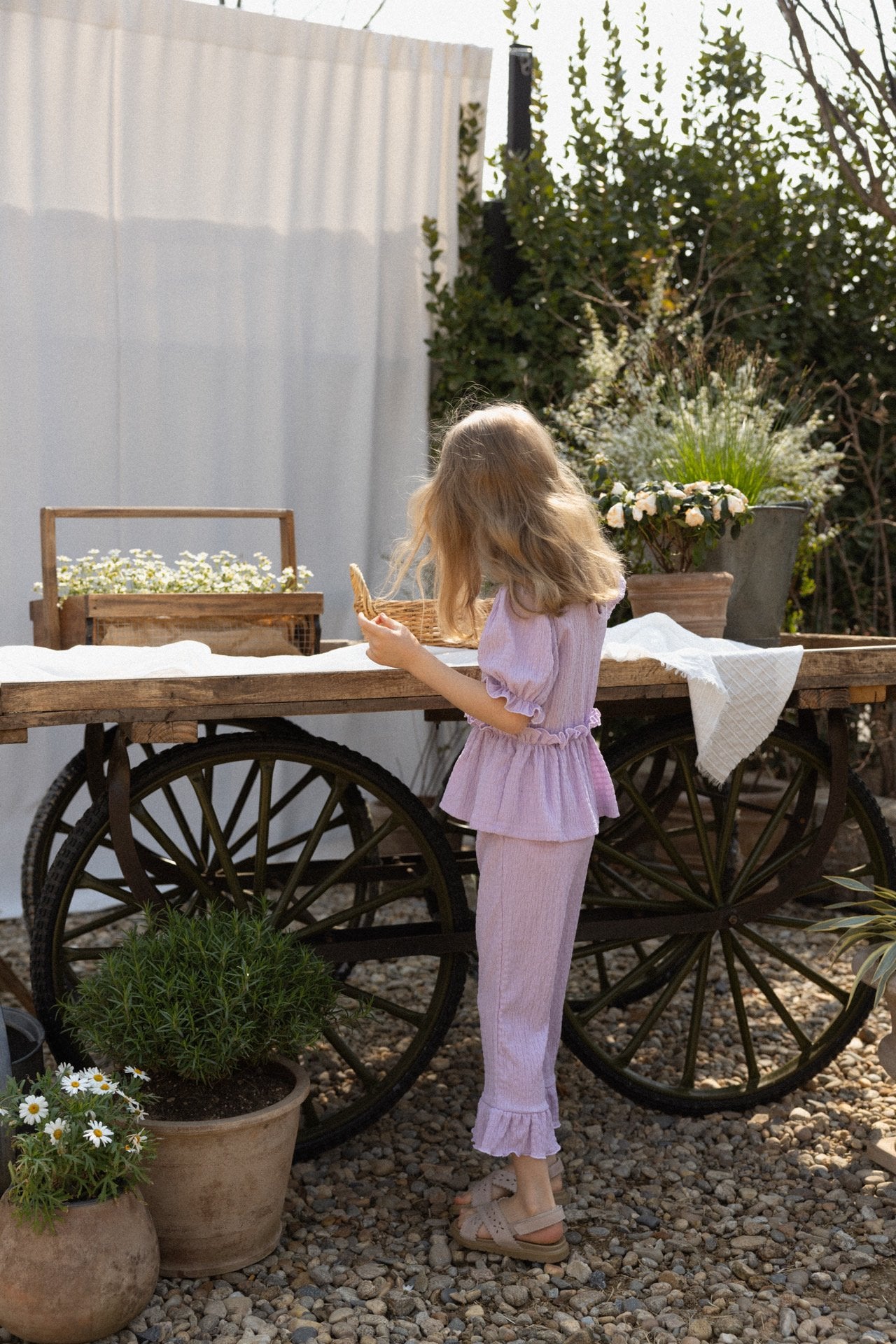 ［perrobebe］Lumi setup (lavender)