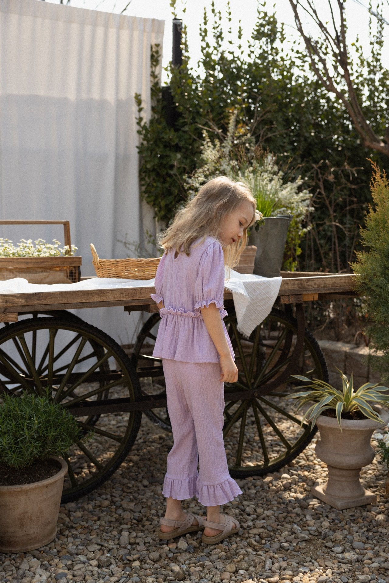 ［perrobebe］Lumi setup (lavender)