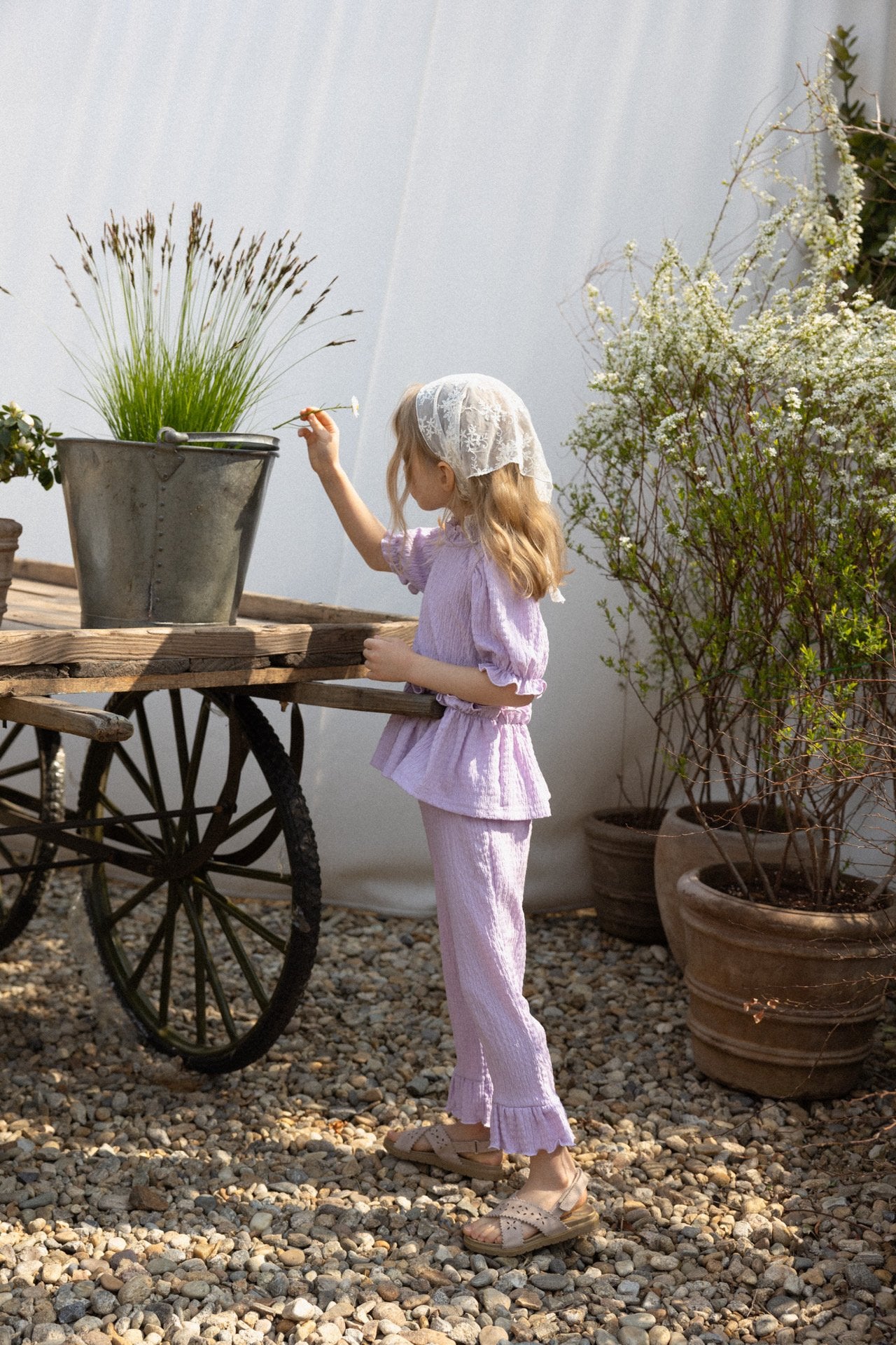 ［perrobebe］Lumi setup (lavender)