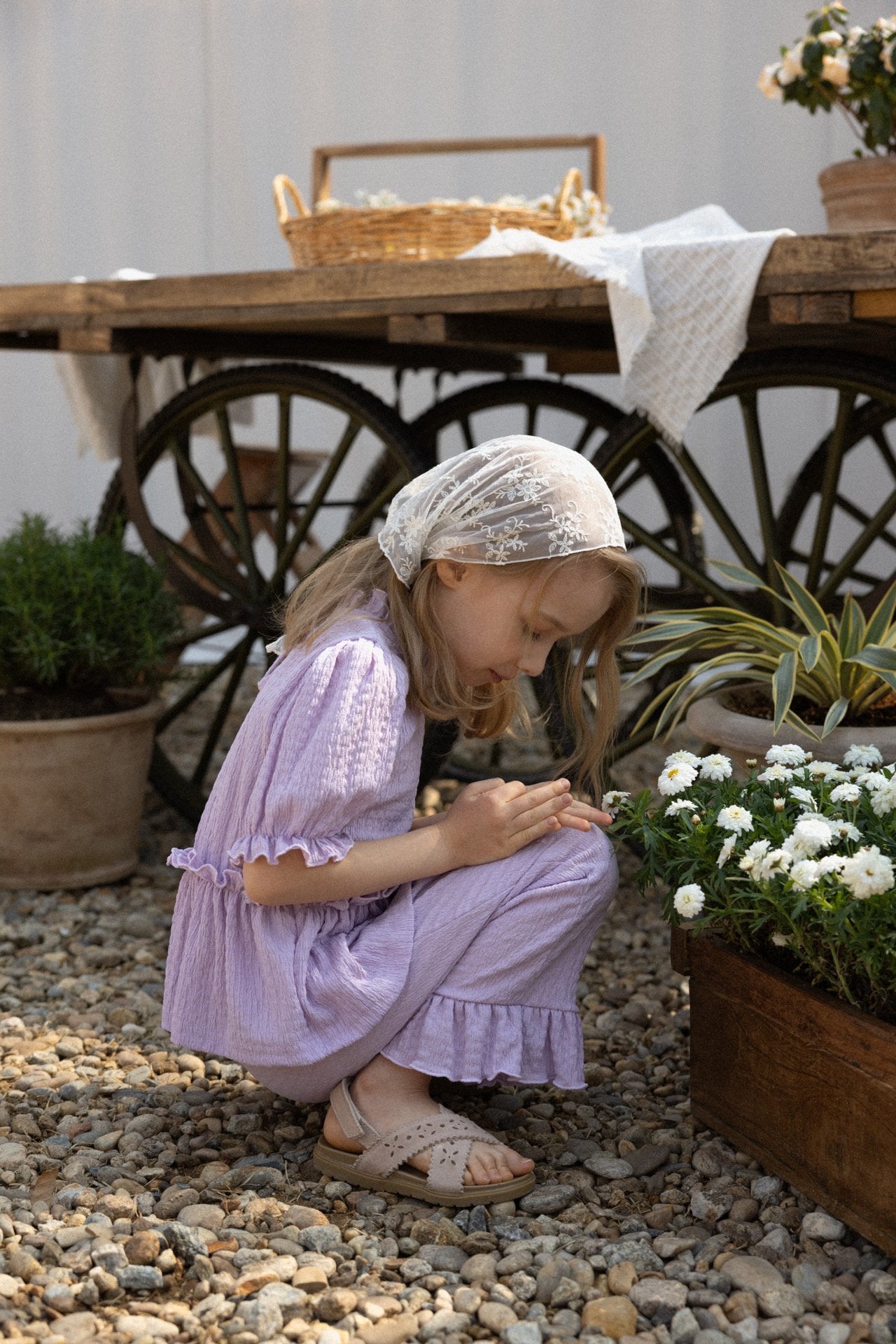 ［perrobebe］Lumi setup (lavender)