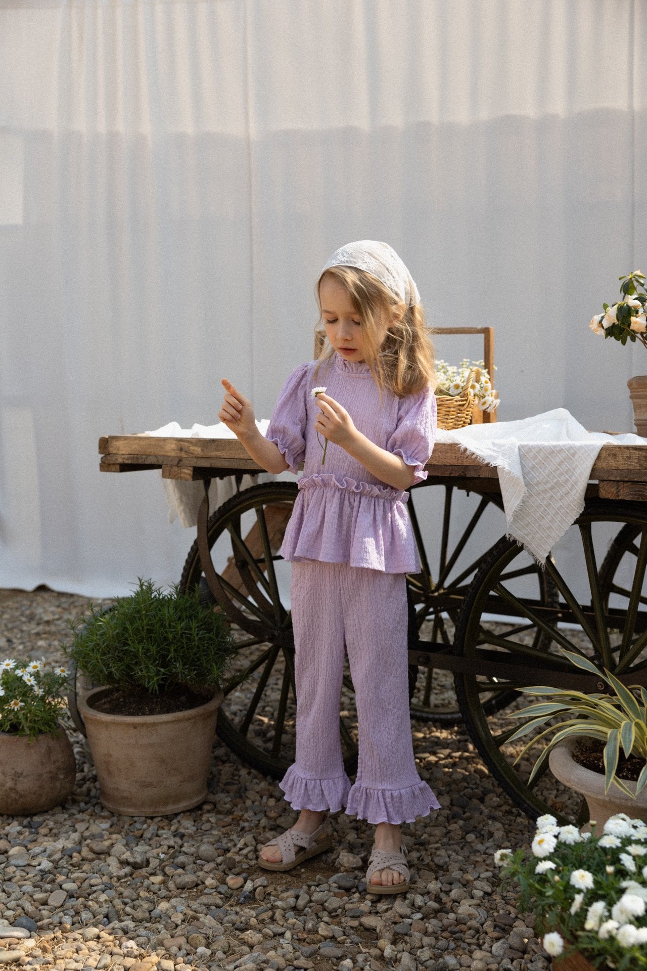 ［perrobebe］Lumi setup (lavender)