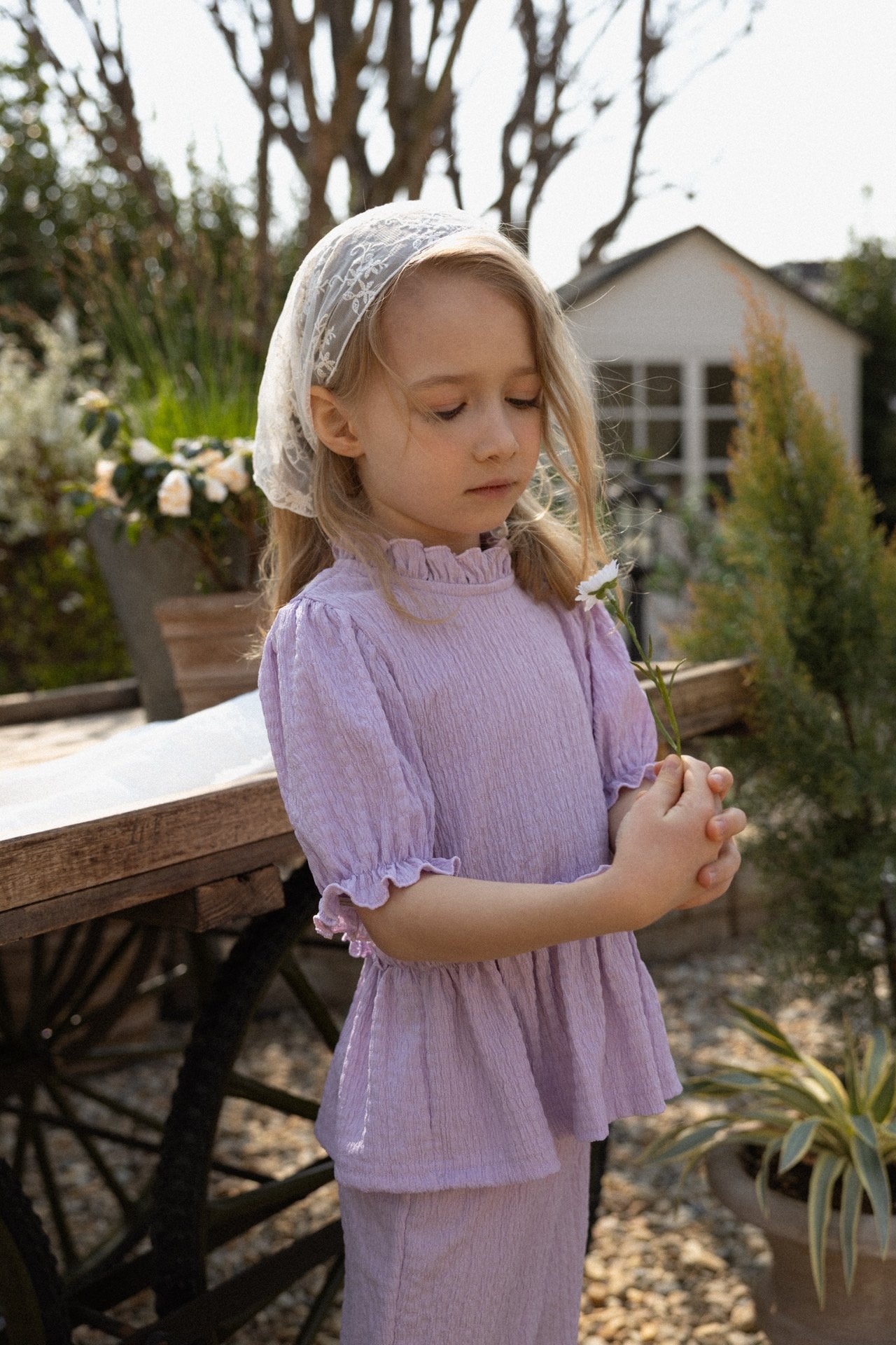 ［perrobebe］Lumi setup (lavender)