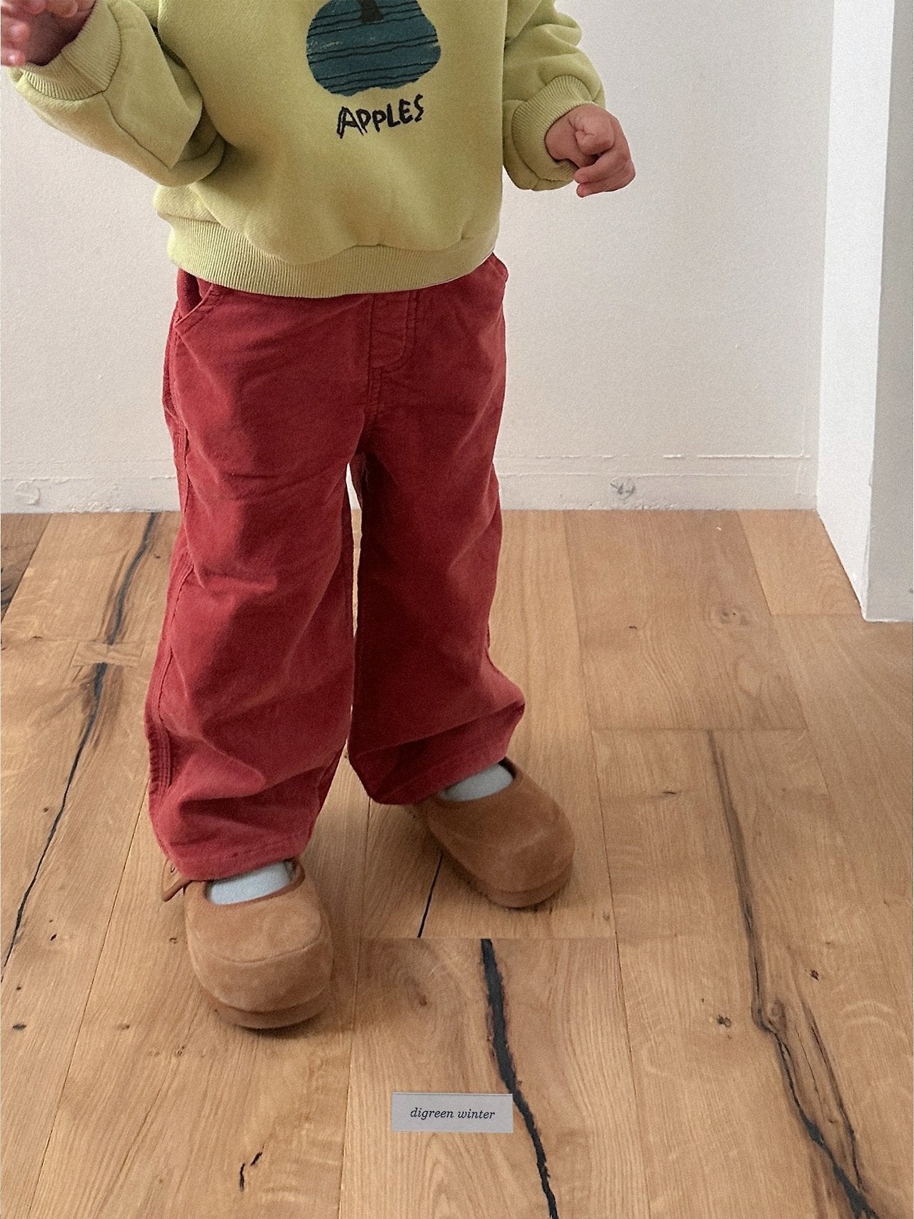 [digreen] Velvet Color Pants